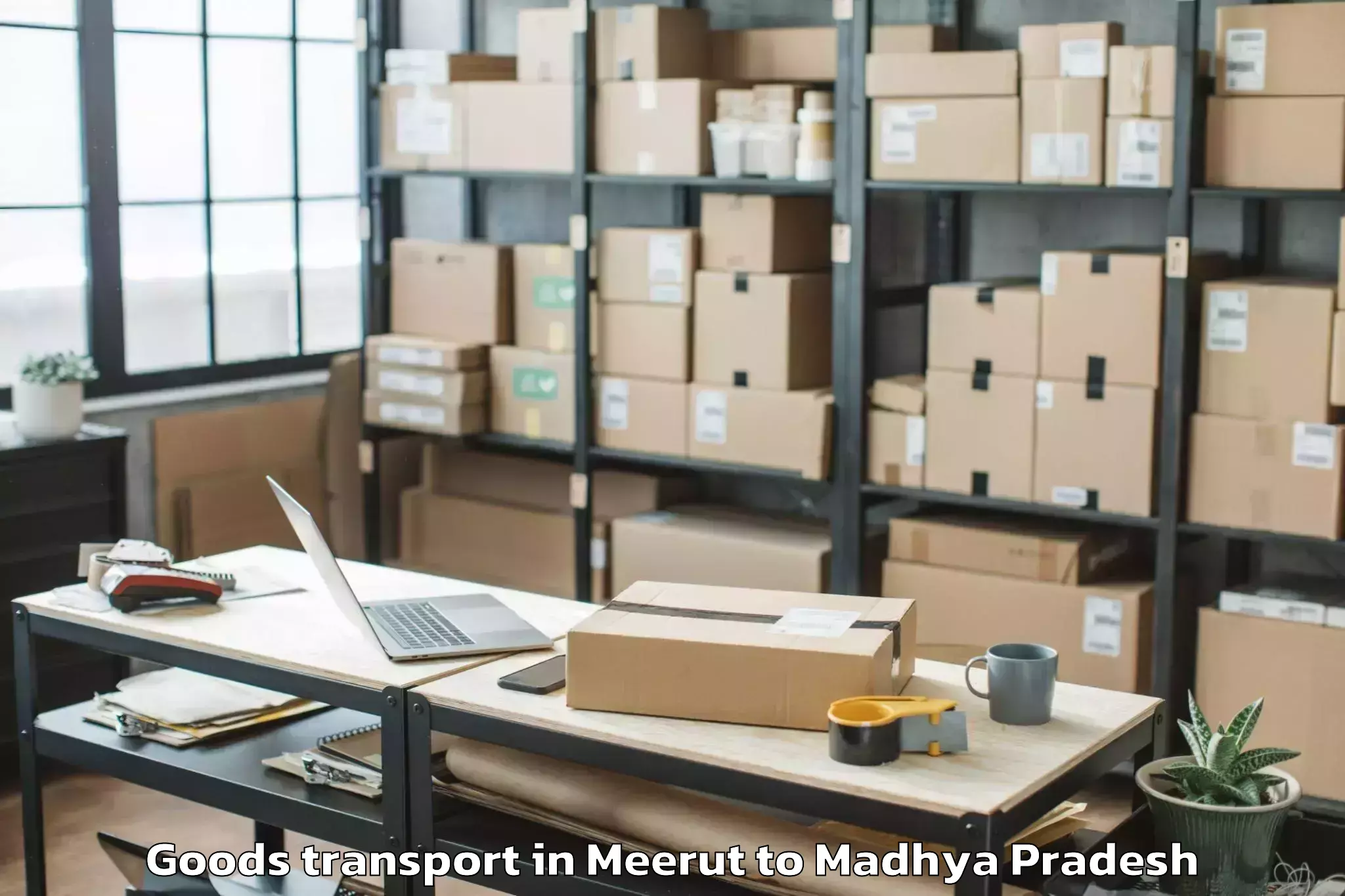 Expert Meerut to Pichhore Goods Transport